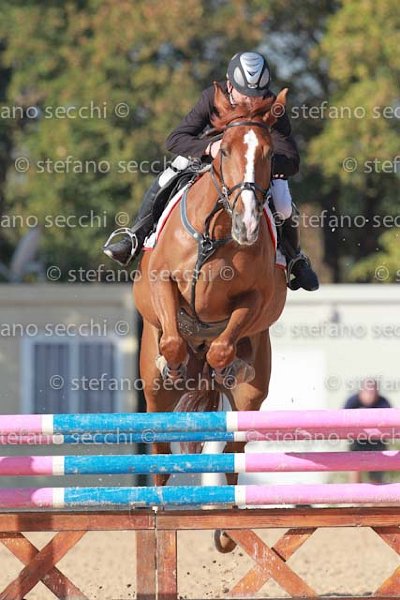 PINNA_OGGI_GIO CAV 2011_SS3_6427.jpg